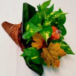 Wicker Cornucopia W/ 4" Pothos