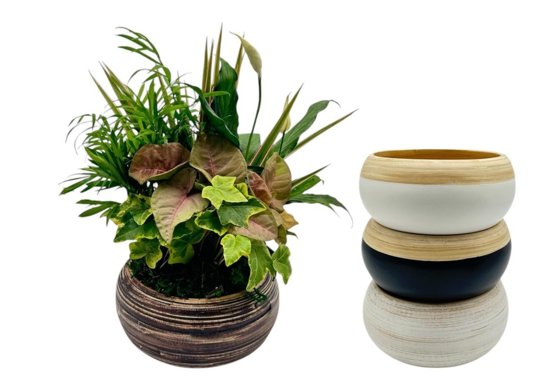 Easter Basket With Dish Garden - With Eggs Printed On The Woven Basket