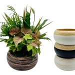 Easter Basket With Dish Garden - With Eggs Printed On The Woven Basket