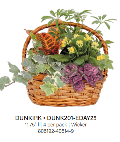 Dunkirk Wicker - Small