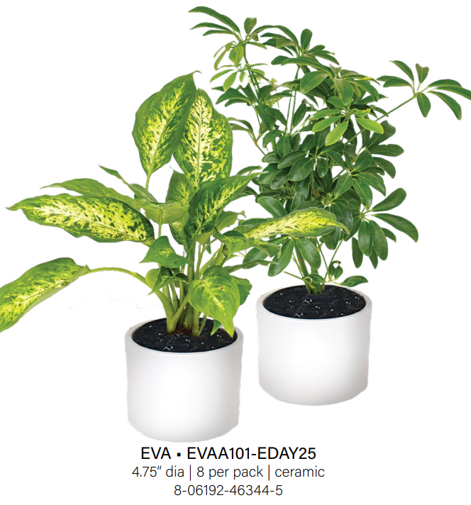 Eva Upgrade