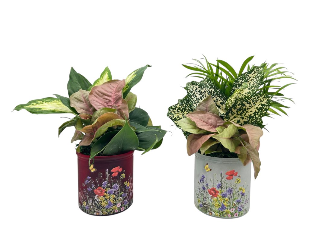 Frosted Glass With Spring Flowers Decal & Dish Garden
