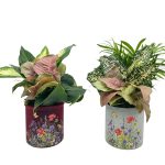 Frosted Glass With Spring Flowers Decal & Dish Garden