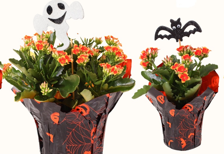 Batman & Robbie Pot Cover (With Pick)