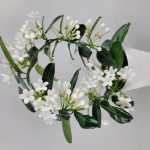Stephanotis Madagascar Jasmine
