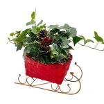 Wicker Sleight W/ 4" Ivy & Asst Cluster Pick