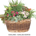 Aukland Wicker - Large