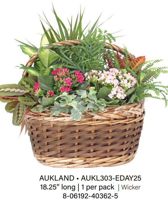 Aukland Wicker - Large
