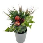 Tall White Pot W/ Dish Garden & Asst Pick
