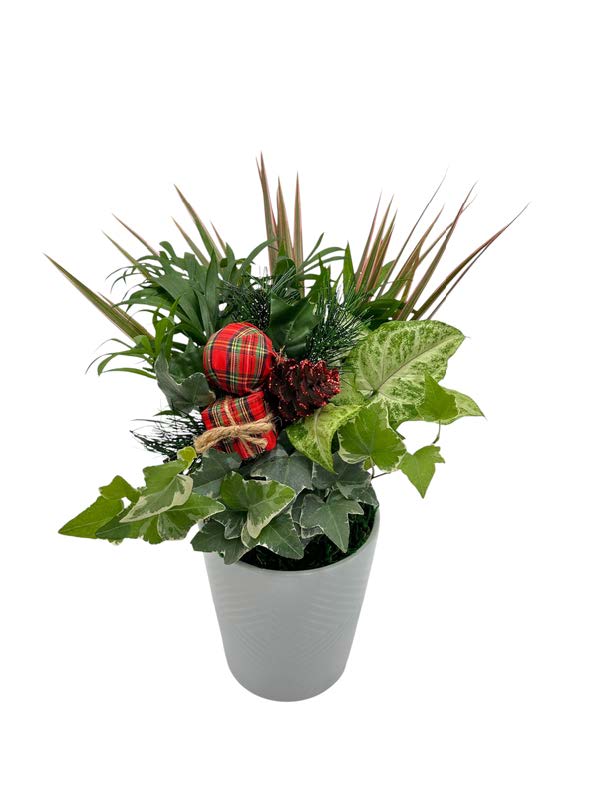 Tall White Pot W/ Dish Garden & Asst Pick