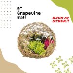 Grape Vine Ball With Miniature Garden