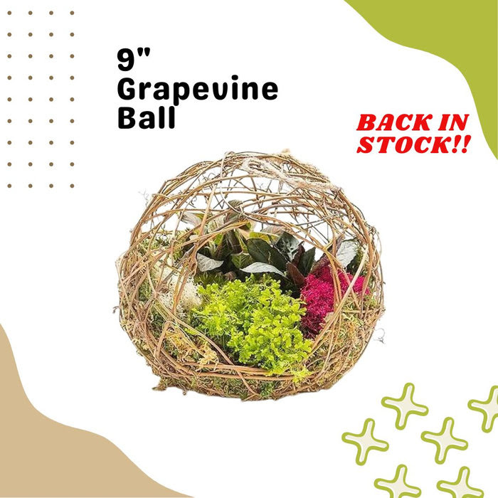 Grape Vine Ball With Miniature Garden