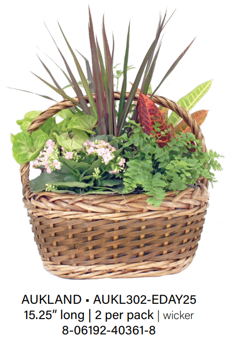 Aukland Wicker - Medium