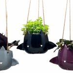 Fang Von Batula Planter W/Asst. 3" Foliage