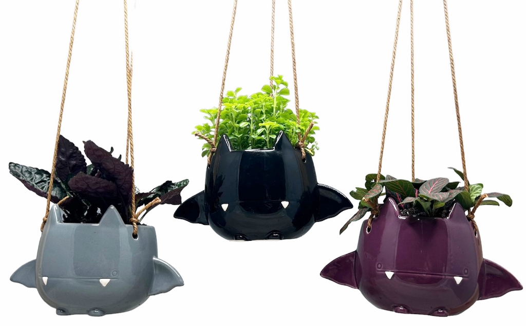 Fang Von Batula Planter W/Asst. 3" Foliage