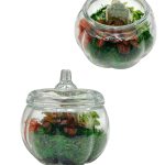 Glass Pumpkin Terrarium