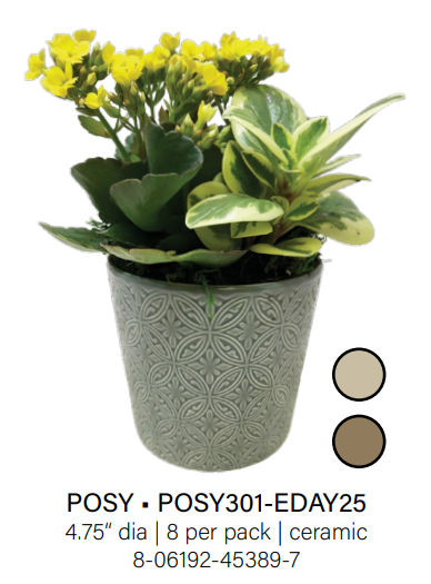 Posy Small Garden