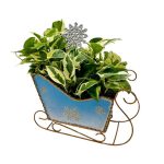 Metal Sleigh W/ 4" Njoy Pothos & Snowflake Pick