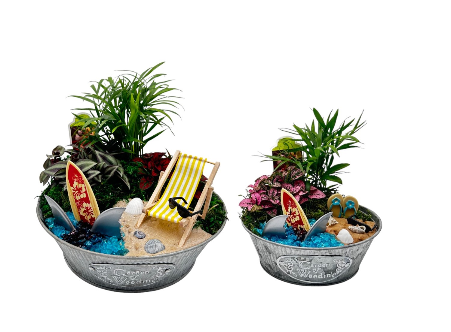 Shark Attack Miniature Garden In Metal Container Shark Attack Miniature Garden In Metal Container