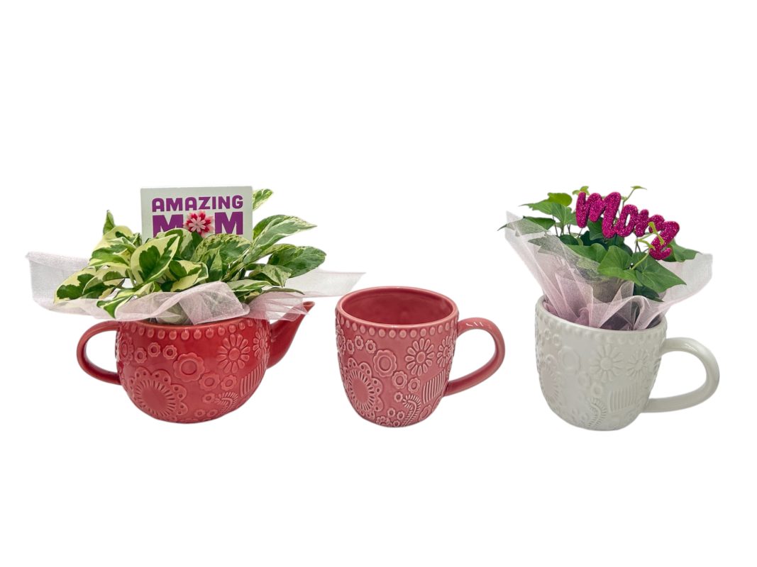 Ceramic Teapot & Teacup Asst. - Assorted Pinks, White, And Cream