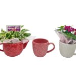 Ceramic Teapot & Teacup Asst. - Assorted Pinks, White, And Cream