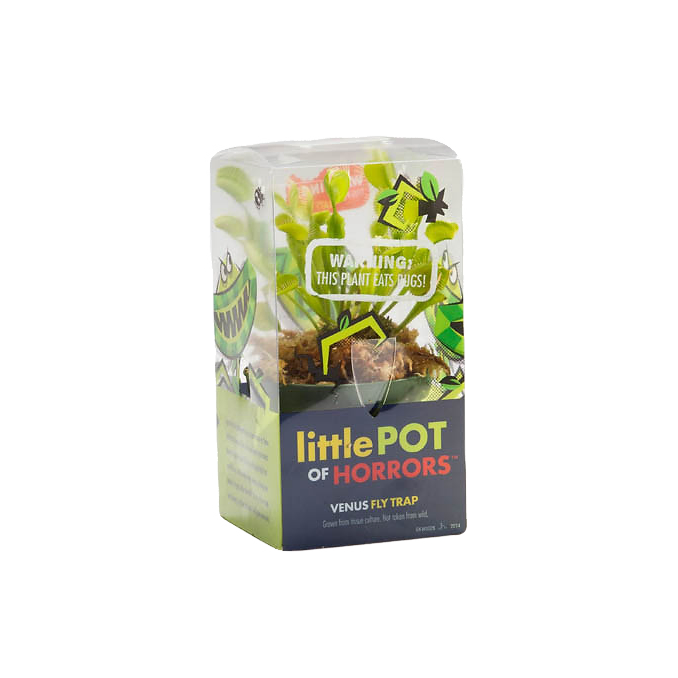 Venus Fly Trap In Monster Box - Dionaea Muscipula -In Display Tray
