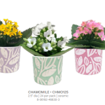 Helen Ceramic Small