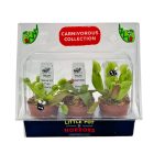 Predator Pack' Carnivorous Collection | *1 Pitcher Plant, 1 Nepenthes, & 1 Venus Fly Trap