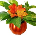 Ceramic Pumpkin W/ 4" Pothos And Fall Leaves