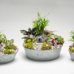 Garden Of Weedin Metal W/ Fairy Garden: Mini Deco & Plants