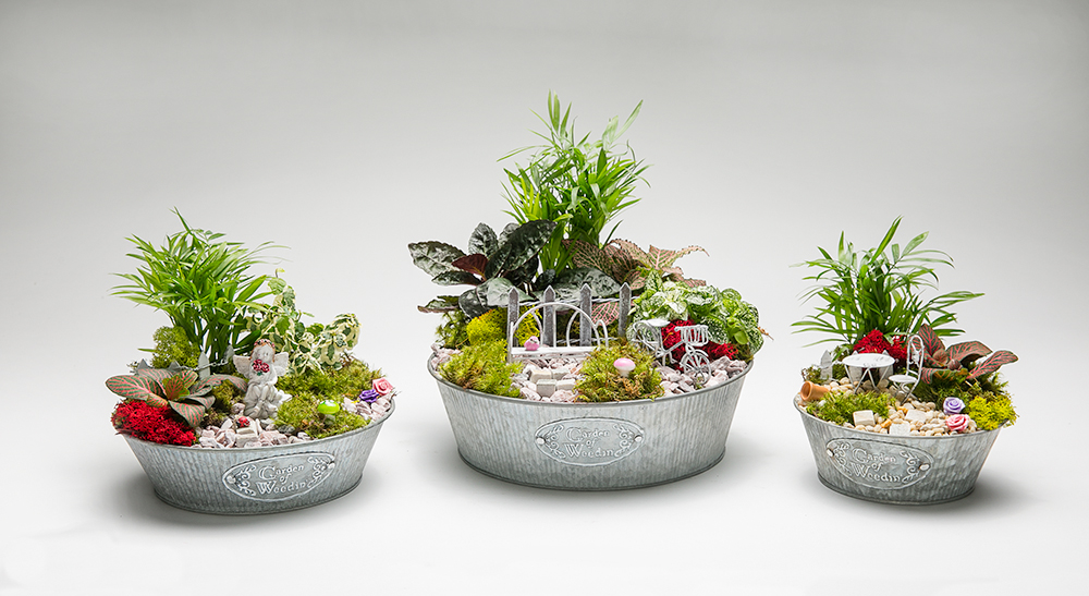 Garden Of Weedin Metal W/ Fairy Garden:Mini Deco & Plants