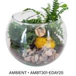 Ambient Glass Bowl - Small