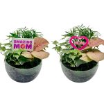 Slope Glass With Dish Garden