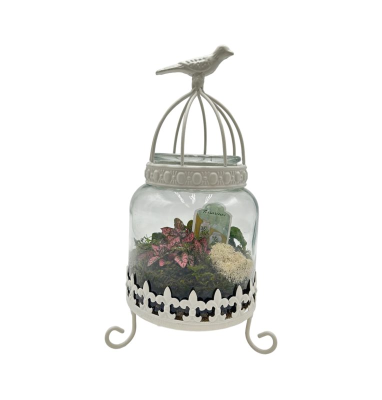 Glass Bird Cage Terrarium