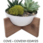 Cove Succulent Garden