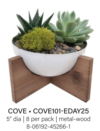Cove Succulent Garden