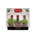 Trap Pack' Carnivorous Collection | *3 Unique Venus Flytrap Varieties*