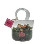 Large Glass Purse Terrarium