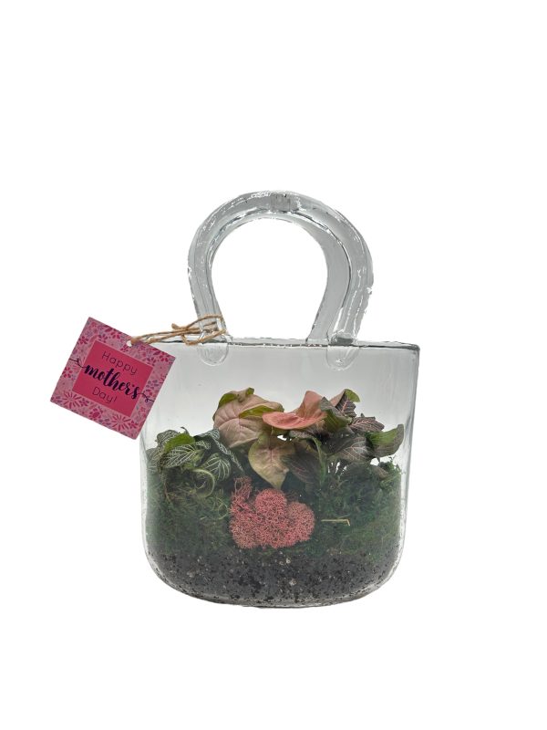 Large Glass Purse Terrarium