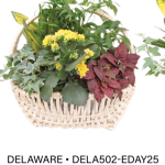 Delaware 502