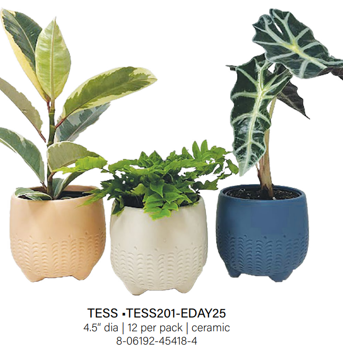 Tess Small Upgrade
