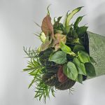 Cinnabar Rectangle Or Oval Metal With Foliage
