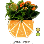 Aperol Garden