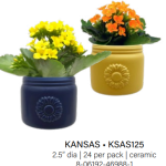 Kansas Sunflower