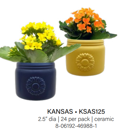 Kansas Sunflower