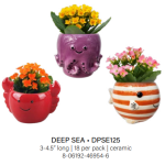 Deep Sea