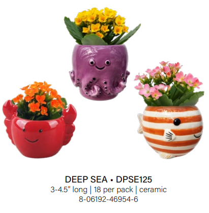 Deep Sea