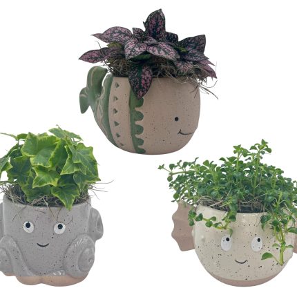 Under The Sea Planter Asst. - Octopus, Blowfish & Whale W/ Asst. 3" Foliage