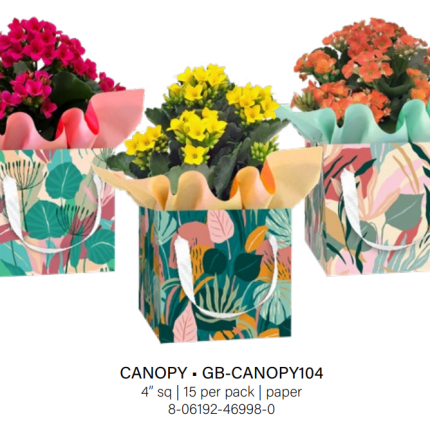 Canopy Summer