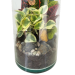 Garden View Tower Glass